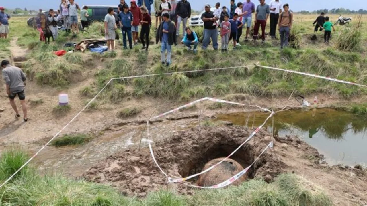 Fueron a pescar a un arroyo y encontraron un gliptodonte de 10 mil años