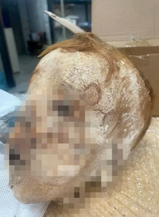 Macabro: revisaban una encomienda y encontraron la cabeza momificada de un nene