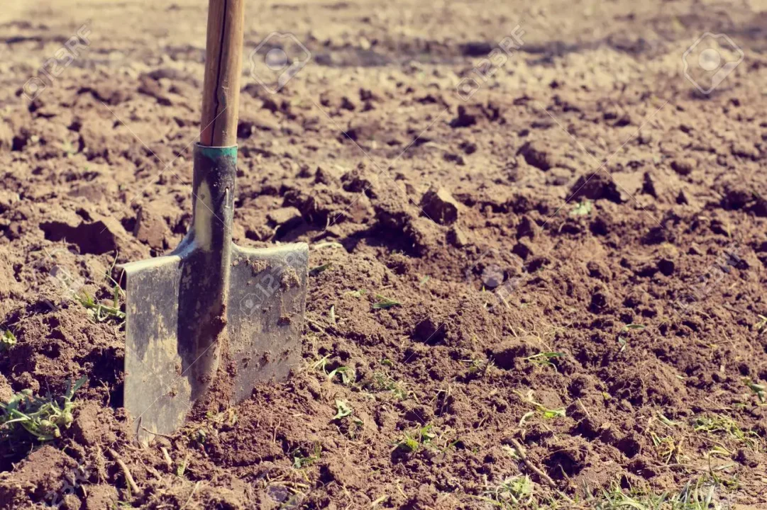 Para no trabajar, un preso neuquino presentó un recurso para que le prohíban usar la pala