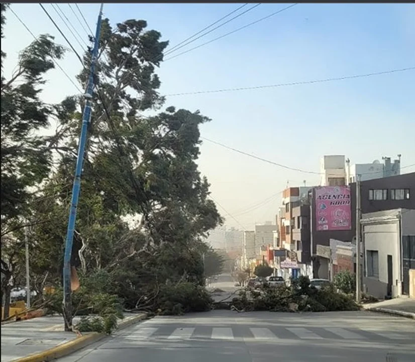 Todo cerrado: no hay comercios, bancos, transporte ni actividad pública y privada hasta la tarde