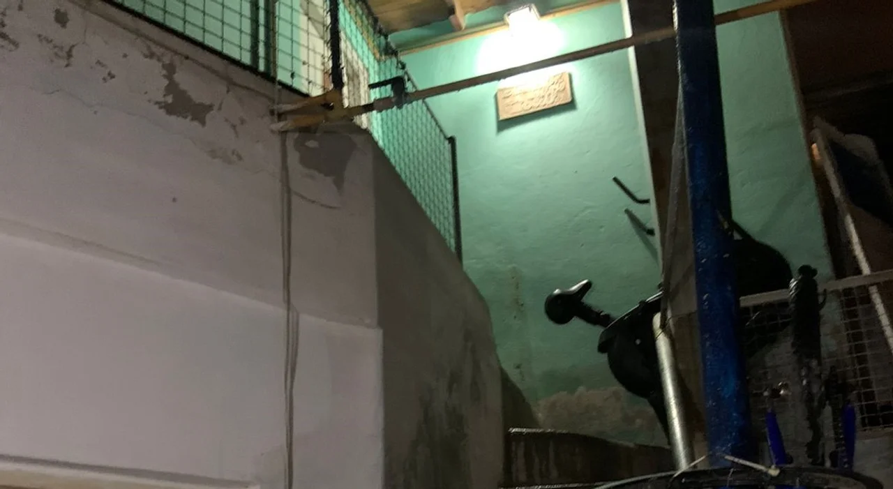 Se robó un elíptico de un departamento, bajó las escaleras con el aparato y lo descubrieron