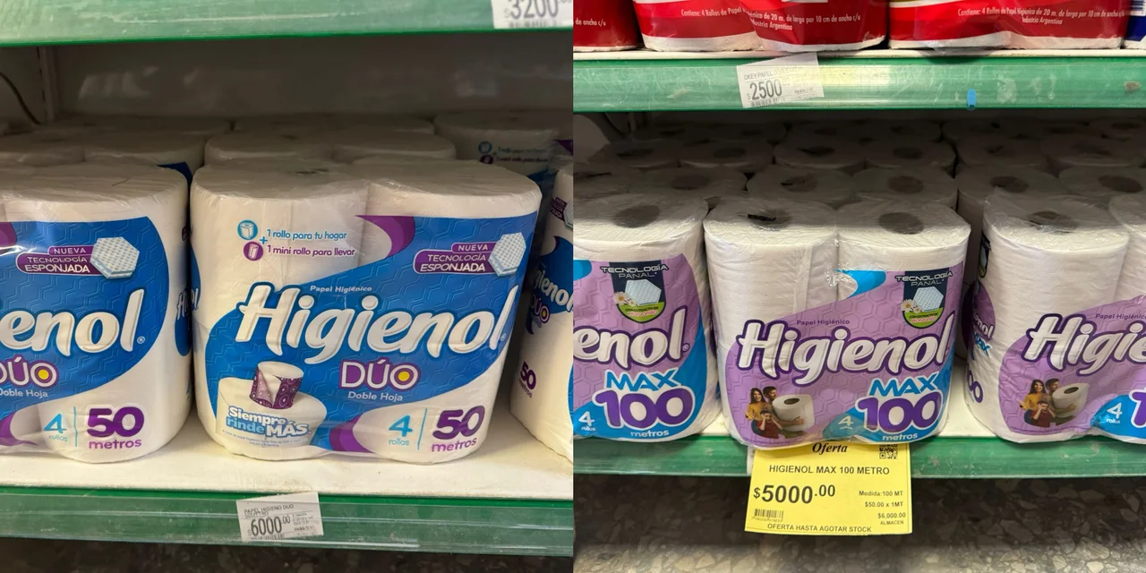 El negocio del papel higiénico en Argentina: qué marcas están detrás y  cuánto se consume - Forbes Argentina
