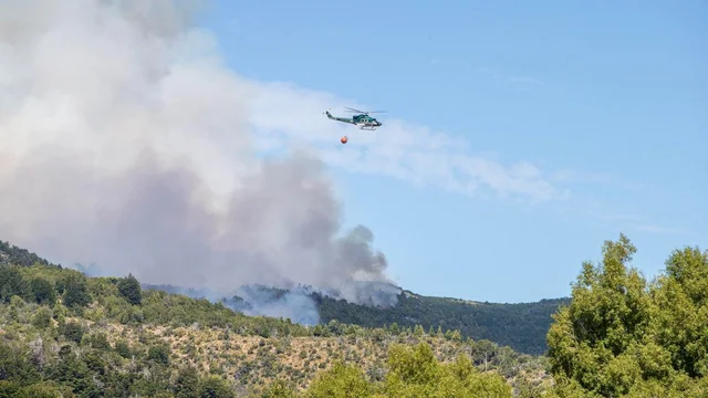 El desgarrador relato de un brigadista desde el incendio en Los Alerces: "Había animales escapando del fuego"