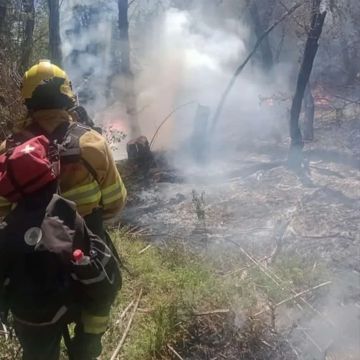 Incendio en el Parque Los Alerces: más de 230 personas siguen combatiendo el fuego  