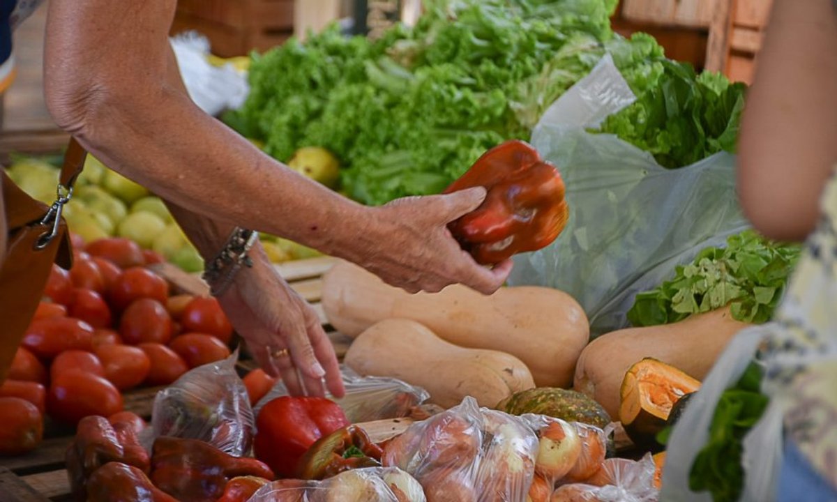 noticiaspuertosantacruz.com.ar - Imagen extraida de: https://adnsur.com.ar/sociedad/este-sabado-se-realiza-la-feria-de-la-agricultura-familiar-con-productos-regionales-a-bajo-costo_a661143a1683eedbe3051e58f