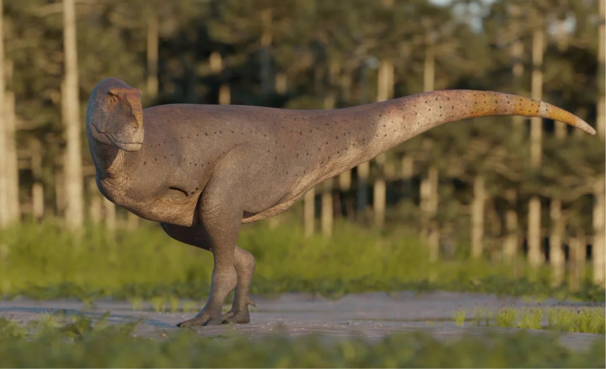 noticiaspuertosantacruz.com.ar - Imagen extraida de: https://adnsur.com.ar/sociedad/descubrieron-una-nueva-especie-de-dinosaurio-carnivoro-en-chubut-que-vivio-en-la-patagonia-hace-65-millones-de-anos_a664ce3cd151e48fd4bde46d2