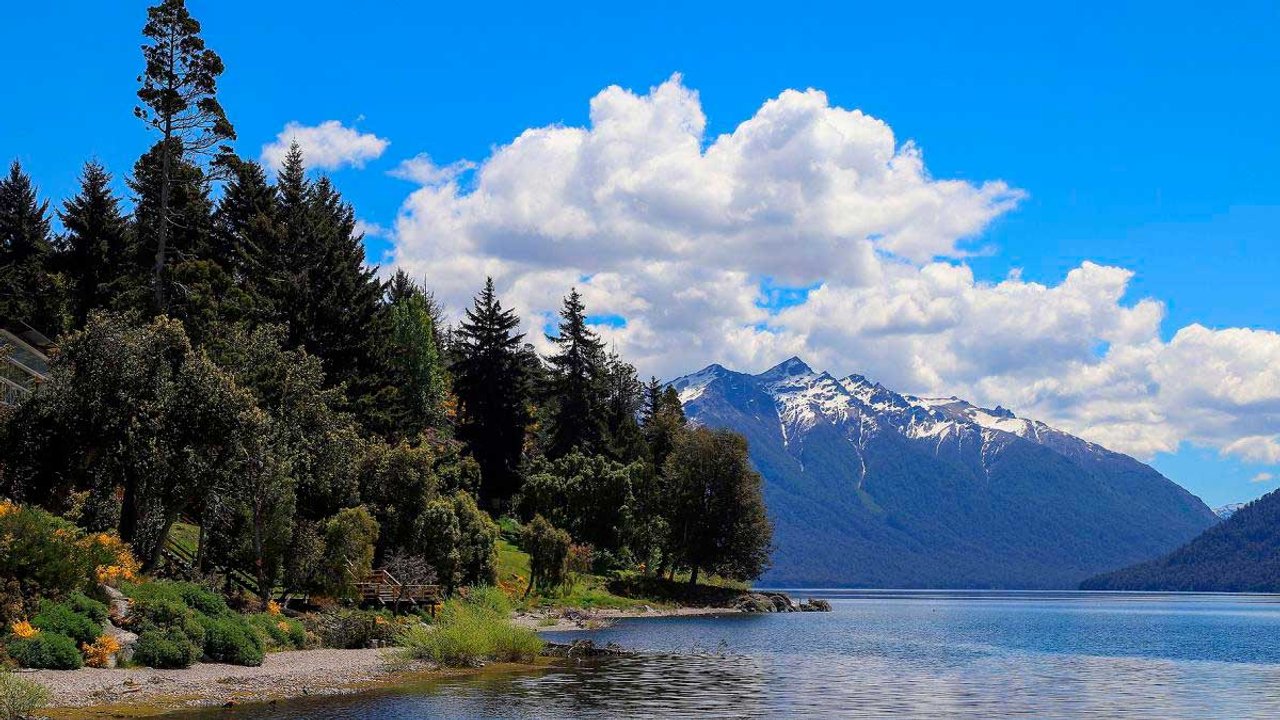 noticiaspuertosantacruz.com.ar - Imagen extraida de: https://adnsur.com.ar/sociedad/multaron-a-una-cooperativa-de-villa-traful-por-danar-un-bosque-nativo_a6669f8811a9ed32dc2426586