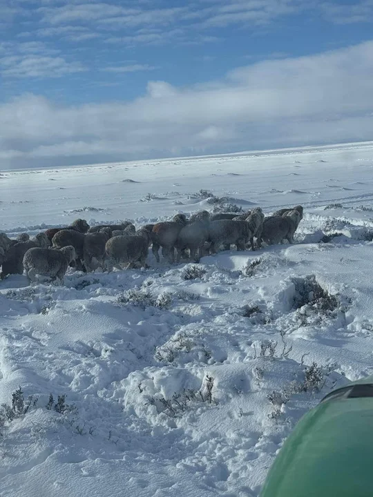 Federación de Sociedades Rurales con fuerte reclamo al gobernador Torres