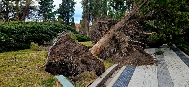 Temporal de viento en Neuquén: las ráfagas superaron los 140 km/h y se volaron más de 20 techos