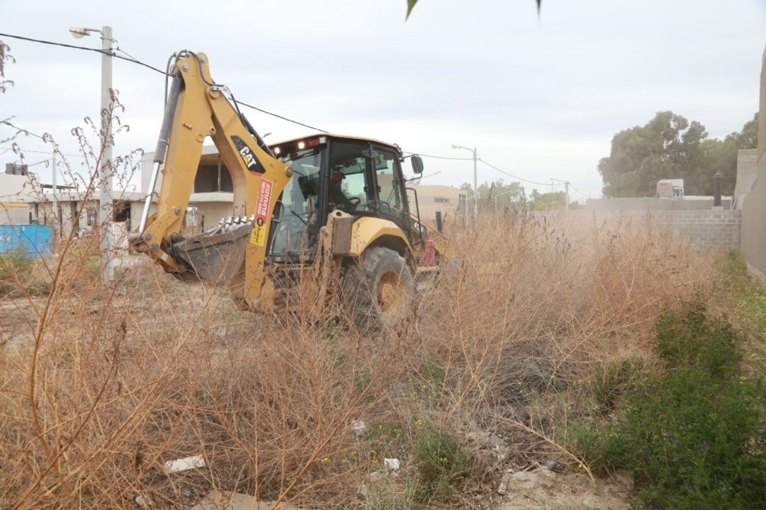 noticiaspuertosantacruz.com.ar - Imagen extraida de: https://adnsur.com.ar/economia/multas-millonarias-a-duenos-de-baldios-por-incumplir-con-la-limpieza-y-el-cerramiento_a672bcb28b87e08fba0a15f7a