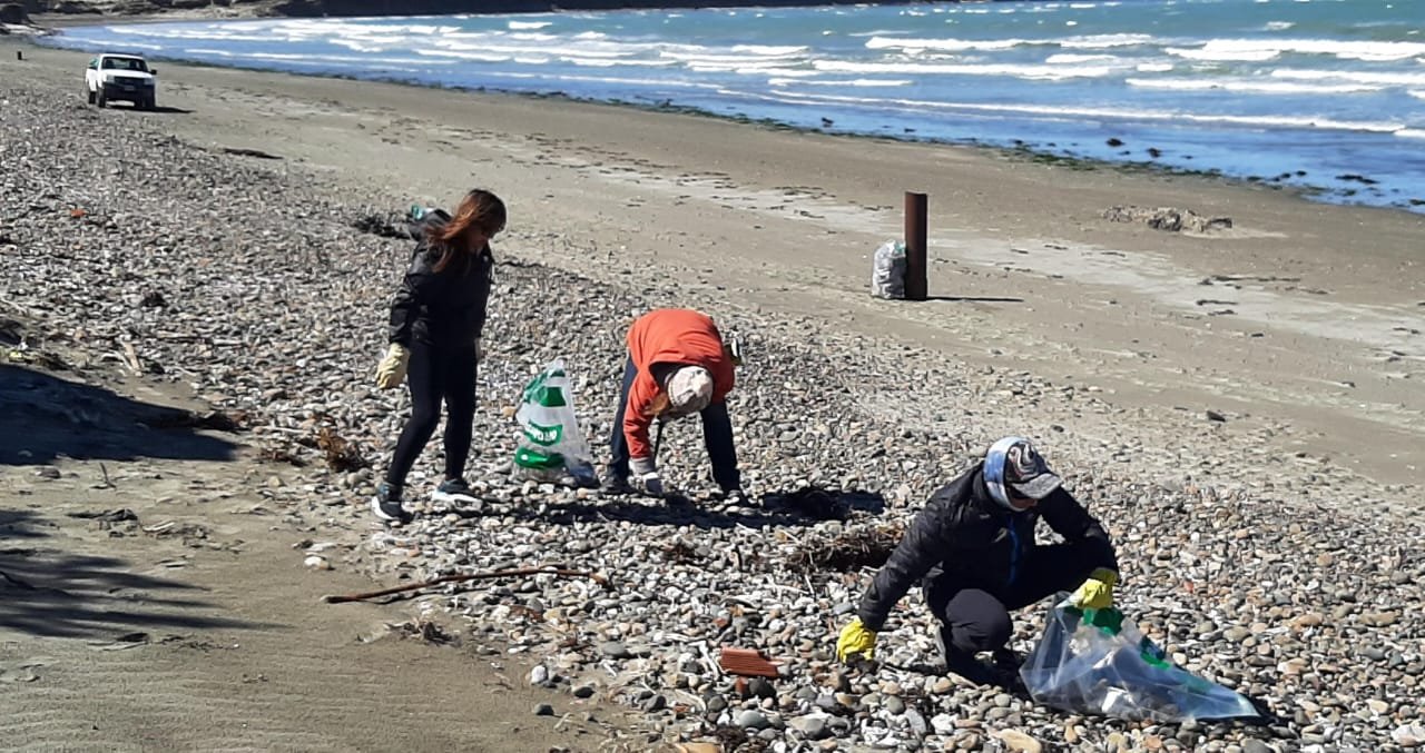 Caleta Córdova realizará la Fiesta de las Aves con avistaje y limpieza de playa