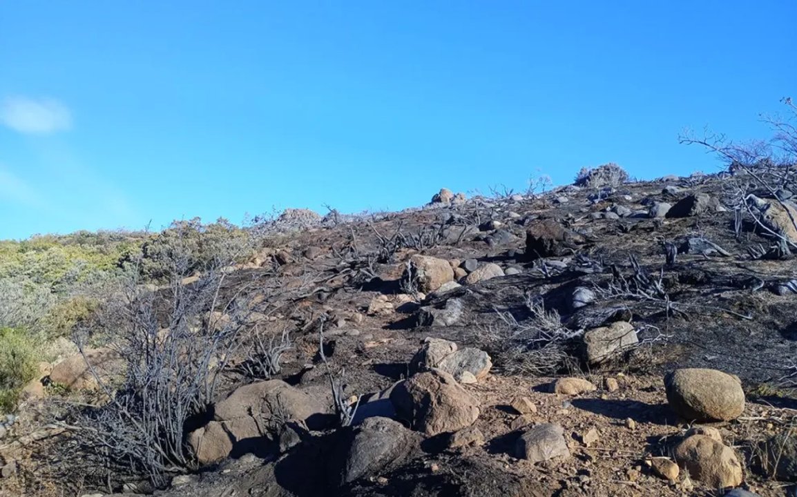 noticiaspuertosantacruz.com.ar - Imagen extraida de: https://adnsur.com.ar/policiales---judiciales/un-incendio-controlado-cerca-de-las-lagunas-de-epulauquen-afecto-tres-hectareas_a6748ea4e4337d3a3c5a62c62