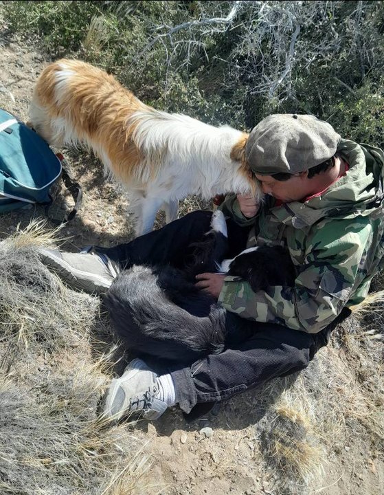 noticiaspuertosantacruz.com.ar - Imagen extraida de: https://adnsur.com.ar/policiales---judiciales/buscan-a-un-trabajador-rural-que-se-perdio-en-la-ruta-40--entre-tamariscos-y-facundo_a678272bcd27924ec1182433d