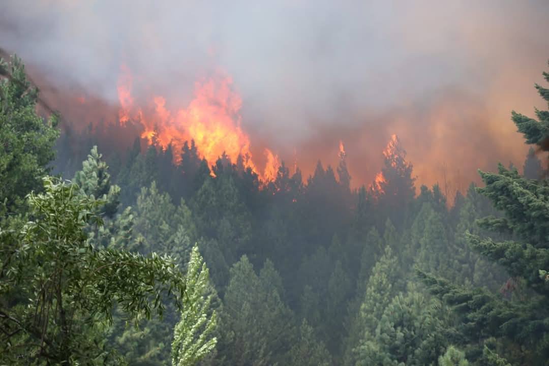 noticiaspuertosantacruz.com.ar - Imagen extraida de: https://adnsur.com.ar/sociedad/en-diez-anos--los-incendios-en-la-cordillera-de-chubut-consumieron-tierras-equivalentes-a-siete-ciudades-de-buenos-aires-_a67894eb7713a1cbd29cbe5da