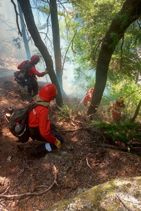 noticiaspuertosantacruz.com.ar - Imagen extraida de: https://adnsur.com.ar/sociedad/lograron-contener-el-flanco-izquierdo-del-incendio-de-epuyen_a678fd64d8c08cb64024f28a5