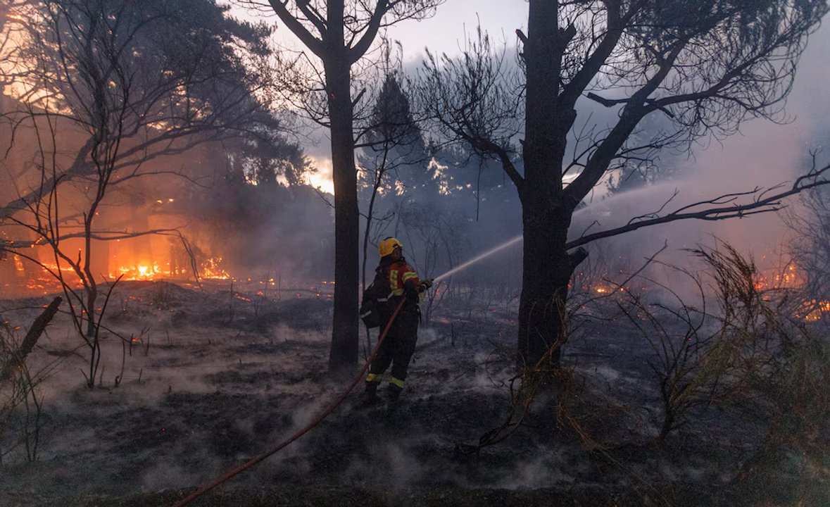 noticiaspuertosantacruz.com.ar - Imagen extraida de: https://adnsur.com.ar/sociedad/chubut-ofrece-hasta-10-millones-de-pesos-de-recompensa-para-encontrar-a-los-culpables-de-los-incendios_a67a6d07d0cec6b0f1b22bc03