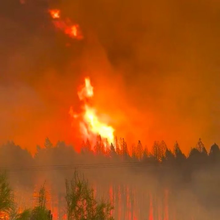 noticiaspuertosantacruz.com.ar - Imagen extraida de: https://adnsur.com.ar/sociedad/weretilneck-dijo-que-el-bolson--esta-pasando-por-un-momento-critico--y-que-hay--mas-de-5-000-hectareas-quemadas-_a67a7dd37673c8b5b407f63c0