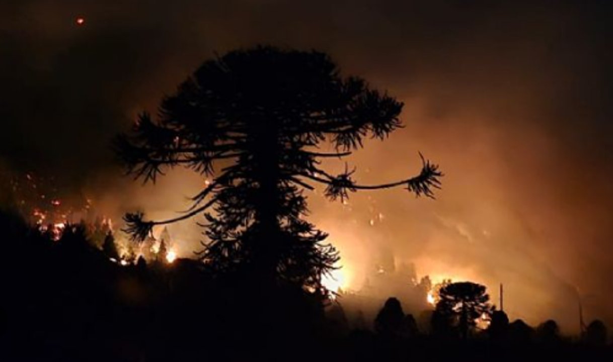 noticiaspuertosantacruz.com.ar - Imagen extraida de: https://adnsur.com.ar/sociedad/cancelaron-otra-fiesta-popular-patagonica-a-causa-de-los-incendios--los-fondos-seran-destinados-a-restaurar-los-bosques-nativos_a67b1d9d1b77df9488d832414