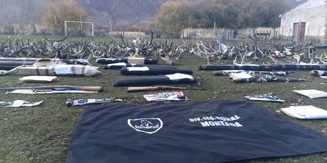 Investigan a diez personas relacionadas con una presunta red de caza furtiva en Chubut