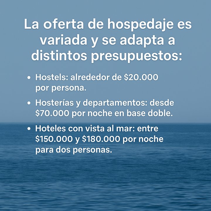 Guía completa para ver las ballenas en Chubut: promociones, tarifas, alojamiento y opciones gastronómicas