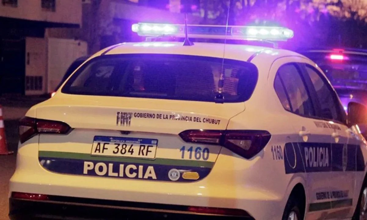 Detienen a mujer tras intento de robo de ovejas en Chubut