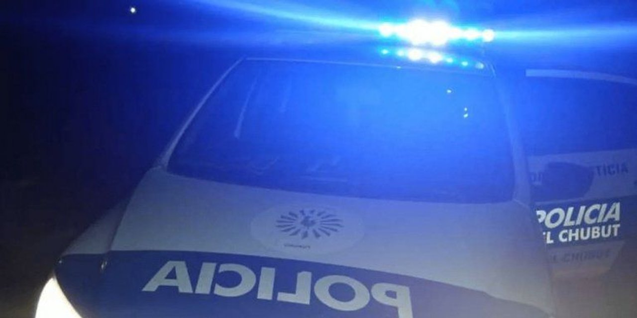 Detenidos en Chubut con liebres muertas y un arma en Trevelin