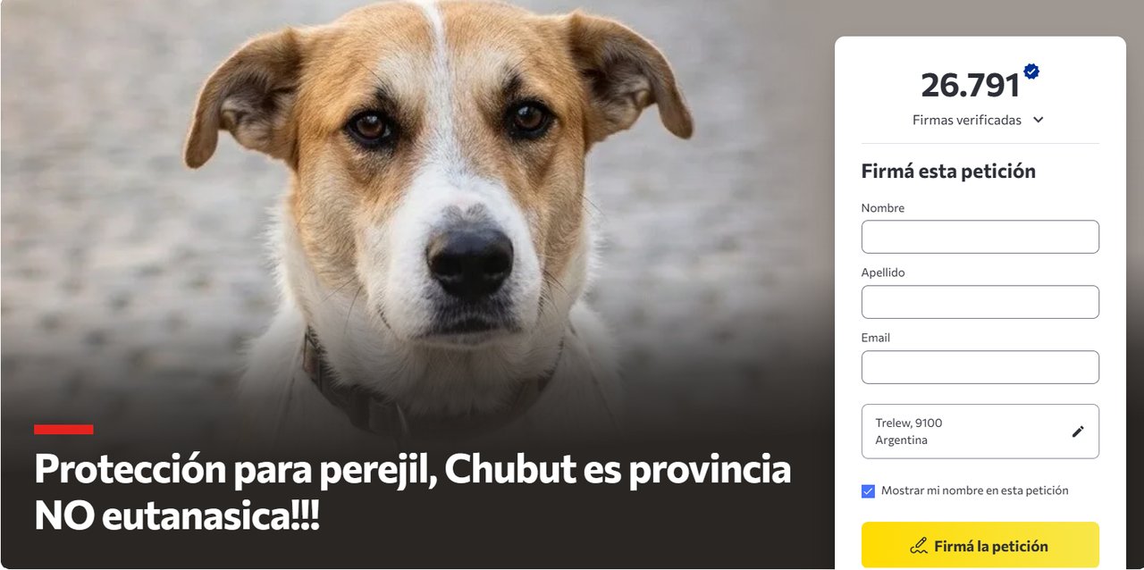 Más de 26.700 firmas piden salvar a "Perejil" y proponen guarda legal