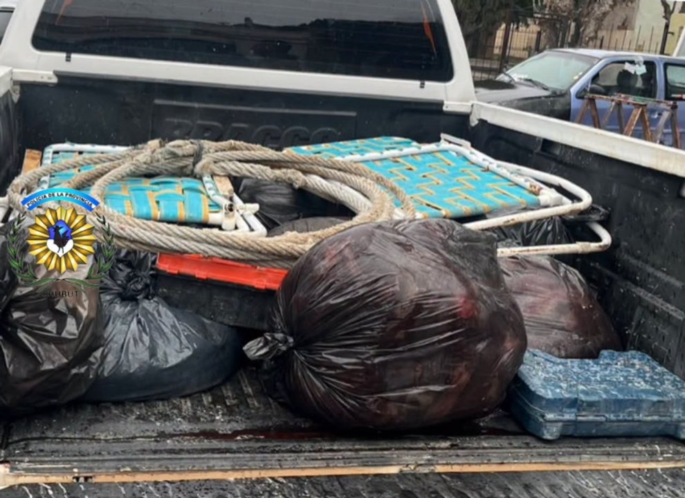 Decomisan gran carga de carne de guanaco en una camioneta en Chubut