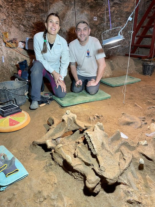 Investigadores de la UNPSJB hallan rinocerontes prehistóricos en España