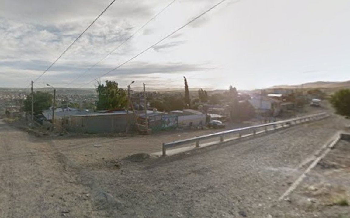 Perro herido tras ataque de dogos en Comodoro Rivadavia: piden ayuda para su tratamiento