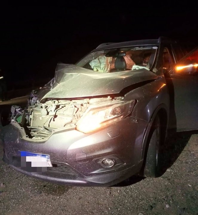 Comodorenses heridos tras chocar con un bovino en Catamarca