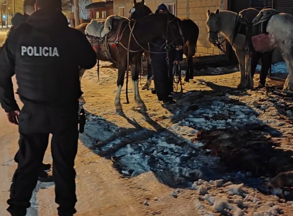 Tres personas demoradas por cazar liebres con perros en Chubut