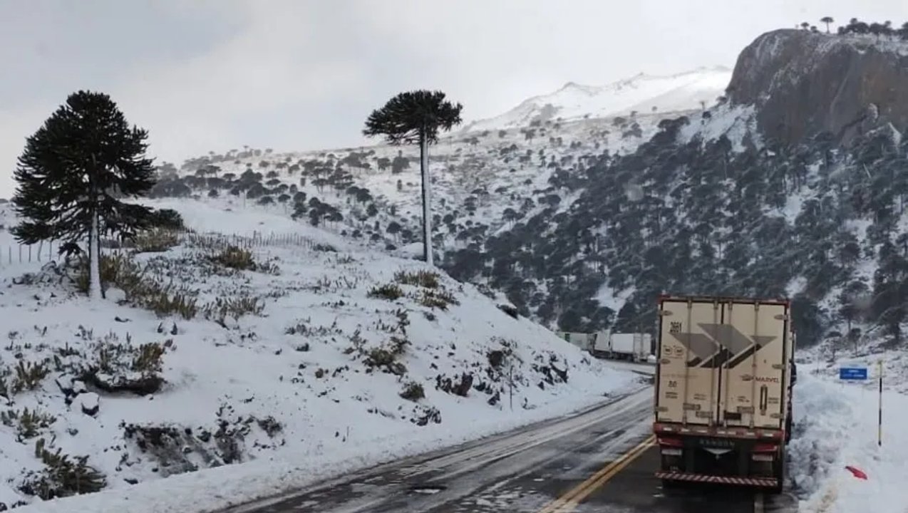 Falleció un camionero brasileño en el paso Pino Hachado