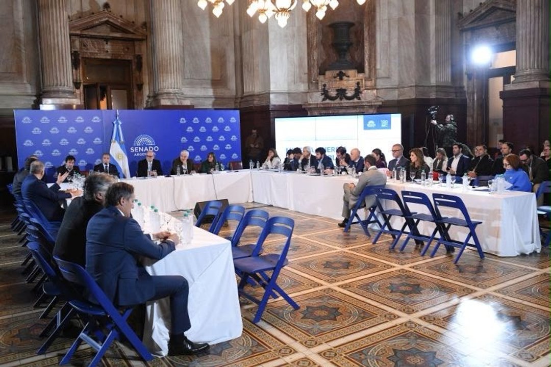 El Senado debate un nuevo proyecto de Ley de Biocombustibles