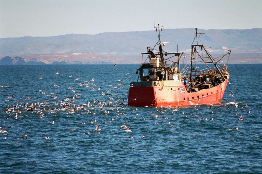 Preocupación en Camarones por la pesca comercial durante todo el año