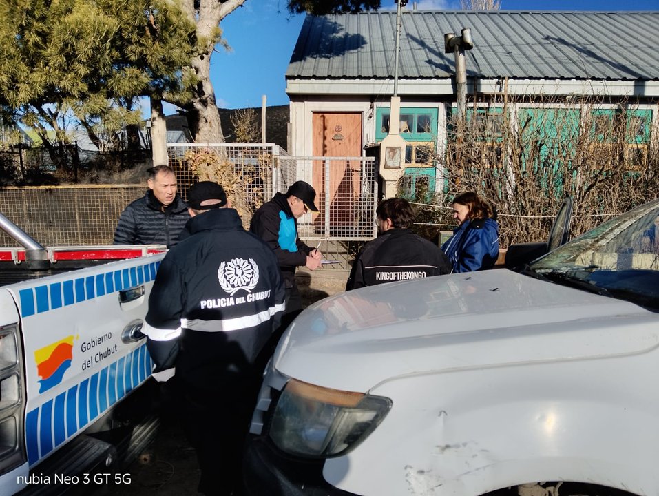 Rescatan tres perros pitbull en allanamiento por maltrato en Diadema