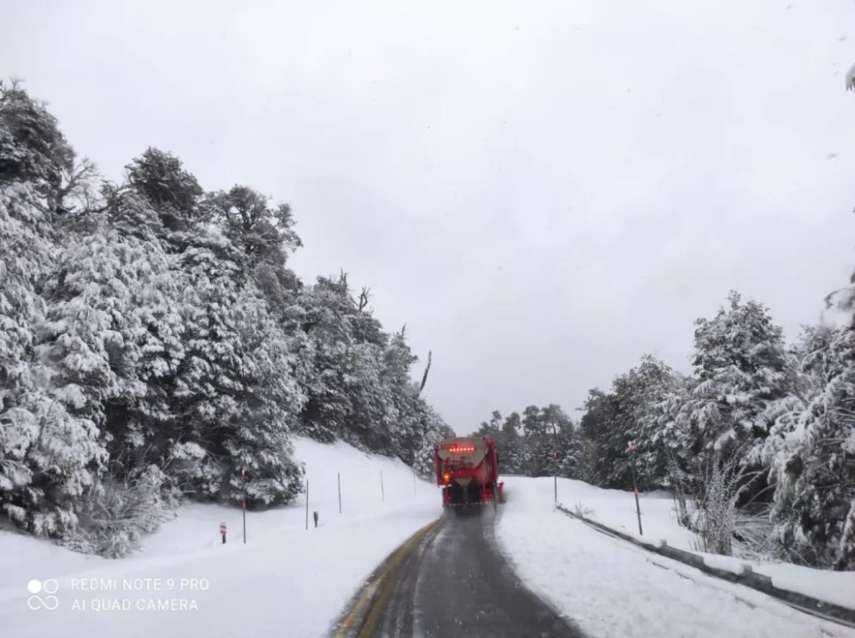 Habilitan el paso Cardenal Samoré y establecen cronograma para camiones