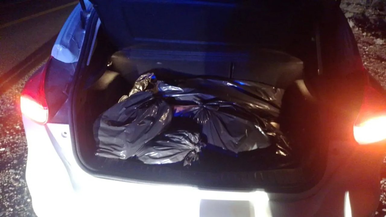 Detienen a joven con 100 kilos de carne de potrillo en Ruta 6