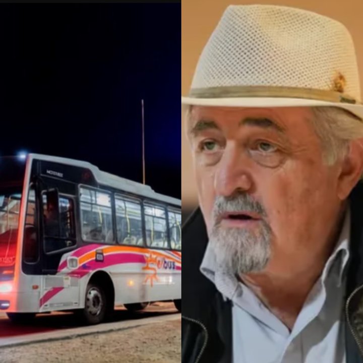 Macharashvili: el aumento del boleto de colectivo es necesario para mejorar el servicio