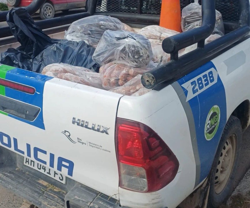 Desmantelan una red de carne clandestina en Río Negro con 350 kilos decomisados