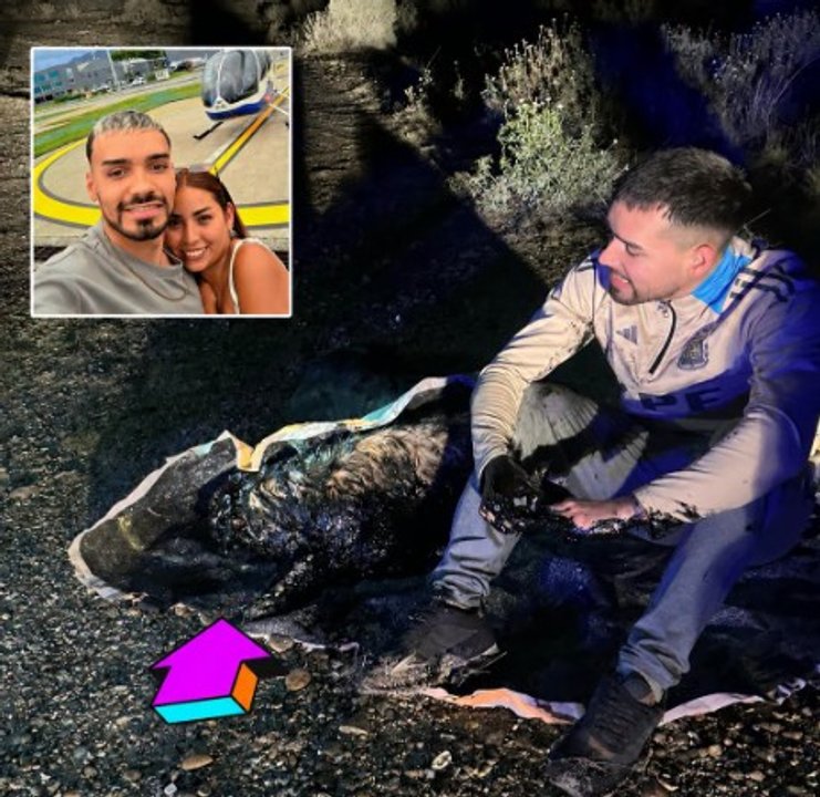 Rescatan a un perro de una pileta de petróleo en Comodoro Rivadavia