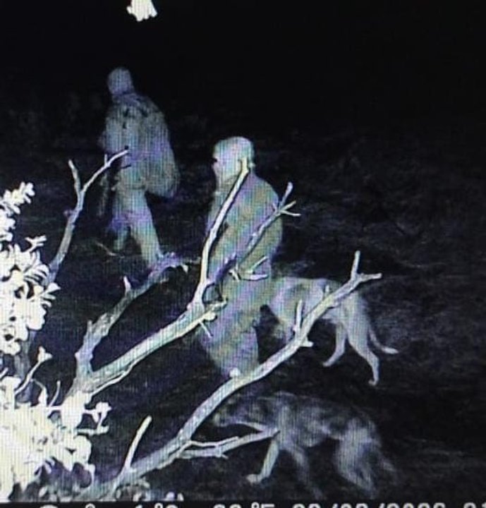 Desmantelan red de cazadores furtivos en Chubut tras allanamientos en Trevelin