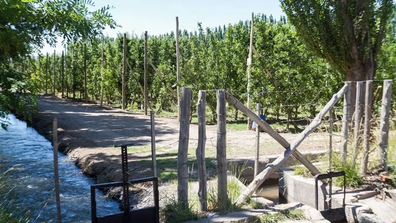 Propuesta para proteger tierras agrícolas en Río Negro y Neuquén frente a la urbanización