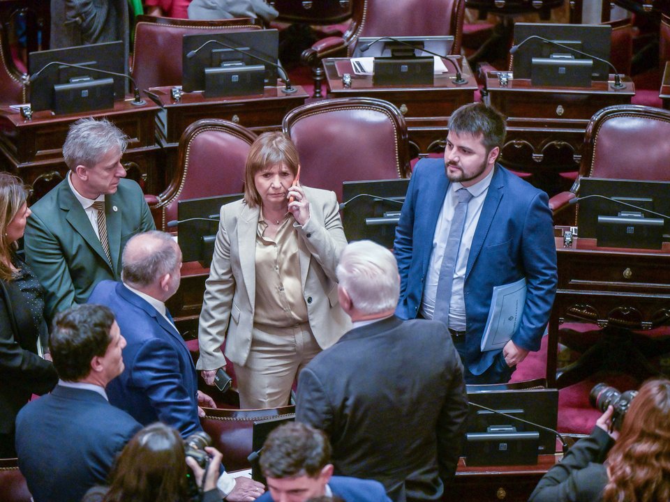 Bullrich planea sesión del Senado sin el Súper RIGI y con nueva ley de biocombustibles