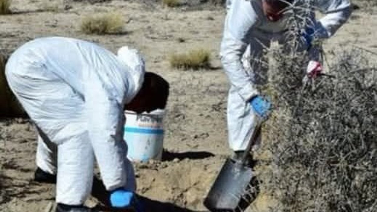Hallan cráneo y restos óseos en Trelew durante un paseo