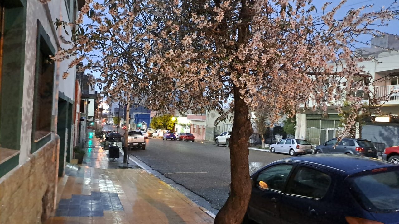 Comodoro Rivadavia: frío intenso y vientos fuertes en pronóstico