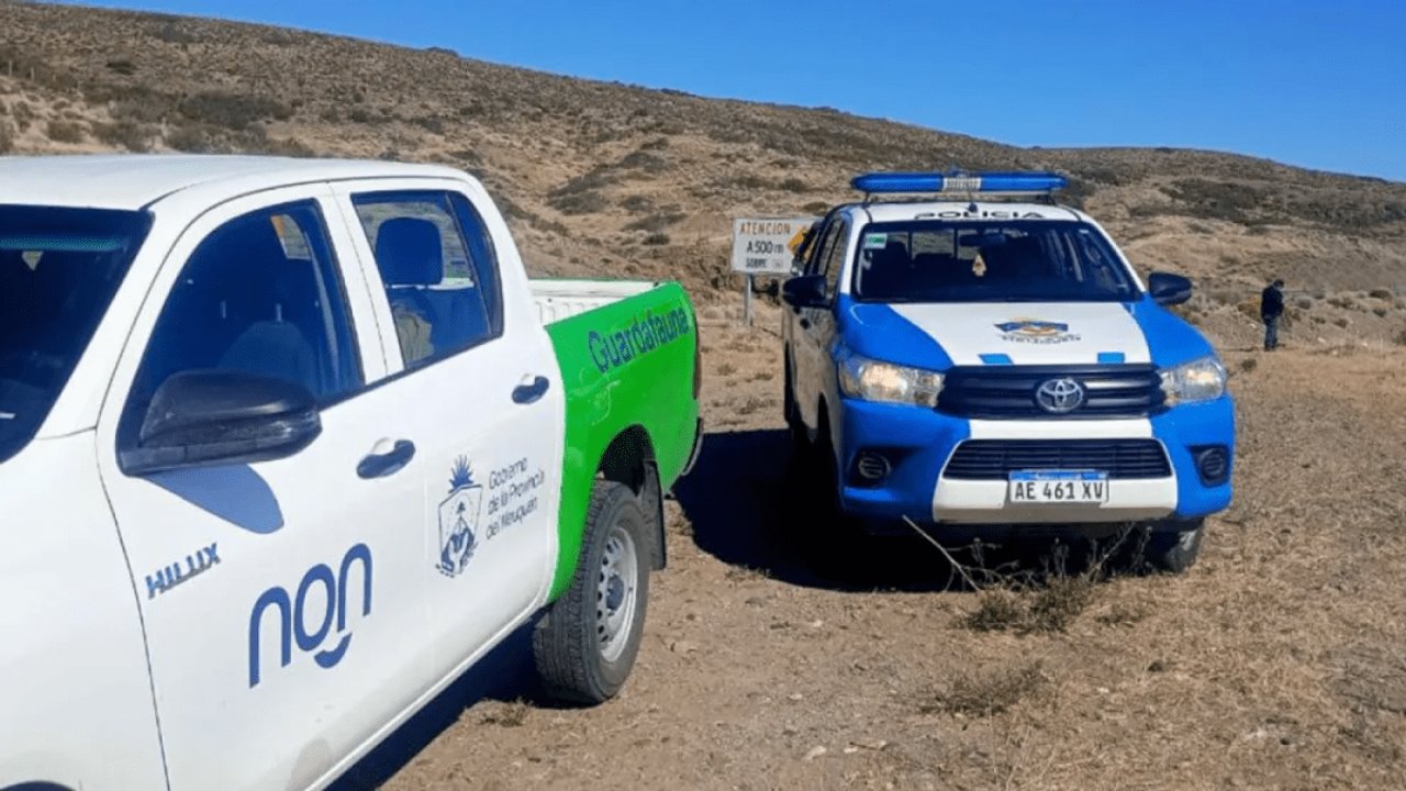 Un ciervo muere tras ser embestido por un camión en la Ruta 40