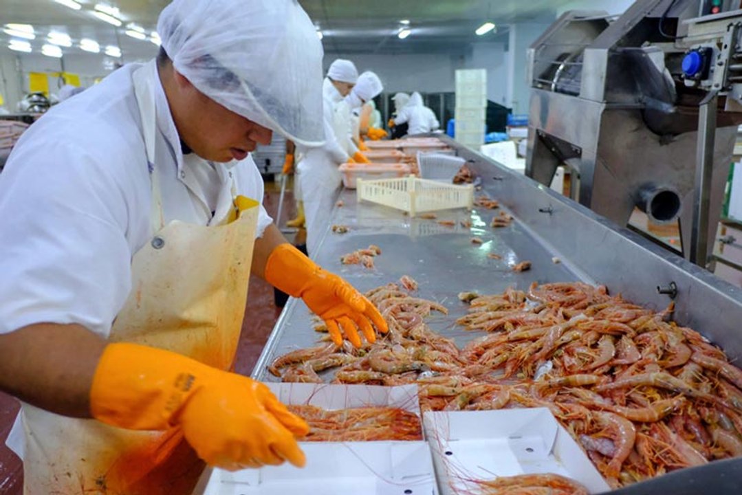Confirmaron ampliación pesquera en Puerto Madryn que creará 100 nuevos empleos