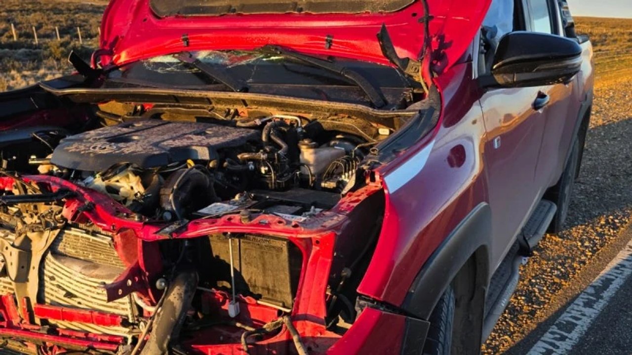 Accidente del exgobernador Puricelli al chocar con un guanaco en la Ruta 3