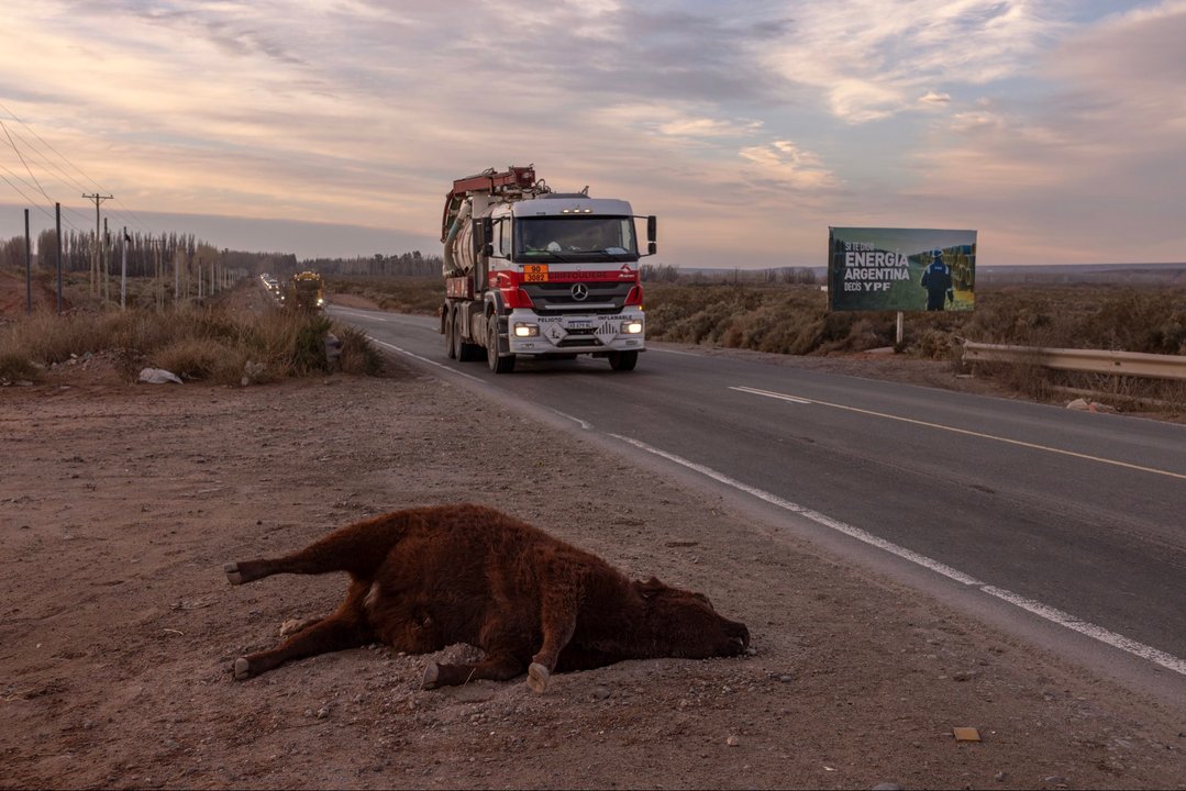 La imagen de una vaca muerta en Vaca Muerta era auténtica, no generada por IA